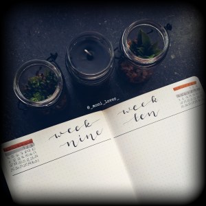 PicsArt_02-27-08.21.41