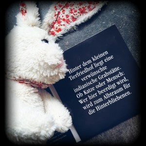 PicsArt_11-26-10.05.48